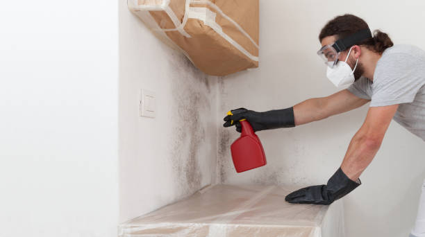 Professional Crawl Space Mold Remediation technician working in Midland, NC
