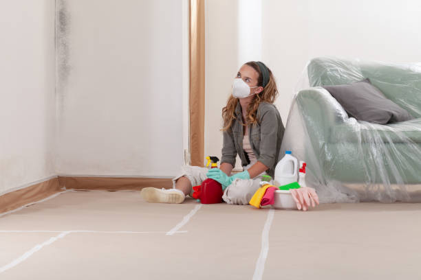 Reliable Crawl Space Mold Remediation contractor in Midland, NC by Mold Remediation HQ