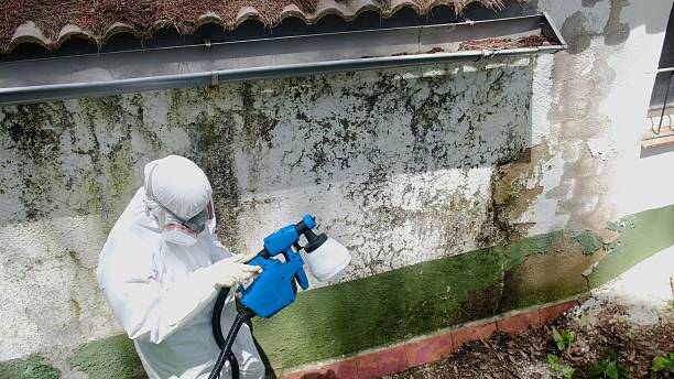 Top rated local Crawl Space Mold Remediation specialists in Midland, NC